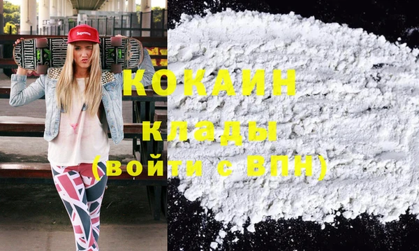 Альфа ПВП Инсар
