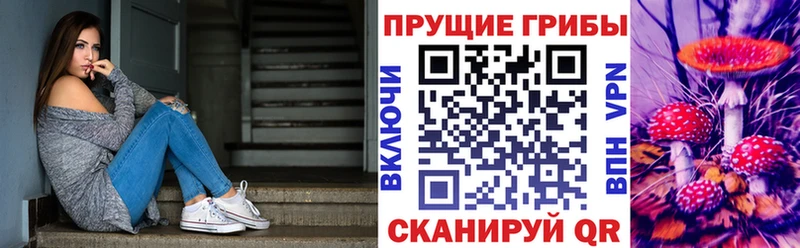 Галлюциногенные грибы Psilocybine cubensis Иннополис