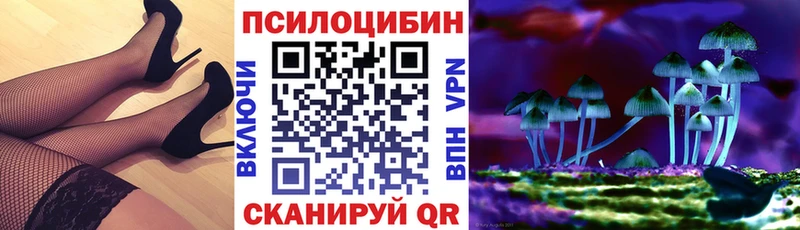 Псилоцибиновые грибы Psilocybe магазин наркотиков Иннополис