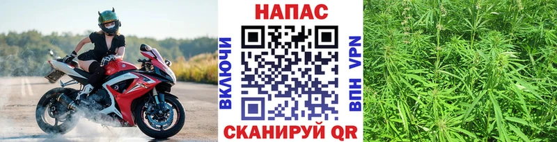 даркнет сайт  Иннополис  Шишки марихуана семена 